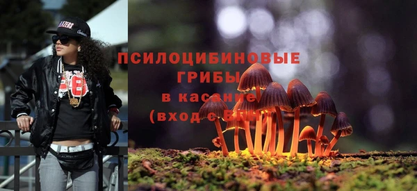 бутират Медвежьегорск