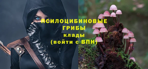 mix Мегион